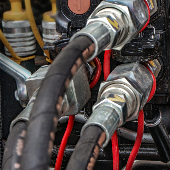 抖圈- (中国区)抖圈为赌而生